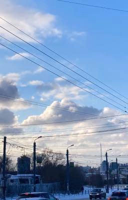 Субъективность