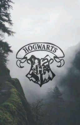 Хогвартс. Мечта или зря ввязалась в магию?