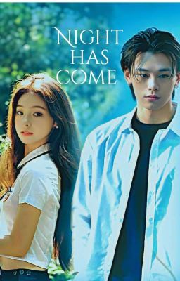 Наступила ночь