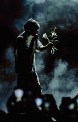 Шмели любят лаванду 4