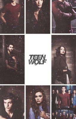 Другая жизнь.Волчонок