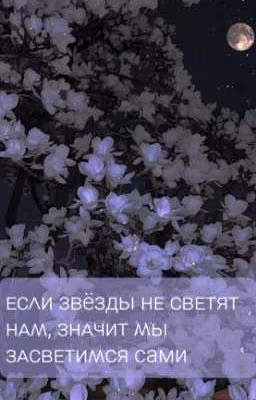 ᴇᴄᴧи зʙёзды нᴇ ᴄʙᴇᴛяᴛ нᴀʍ, знᴀчиᴛ ʍы зᴀᴄʙᴇᴛиʍᴄя сами