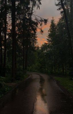 Счастливого Пути