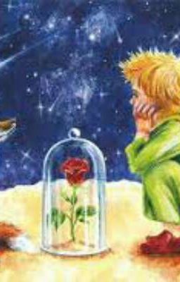 Вопросы & Ответы 