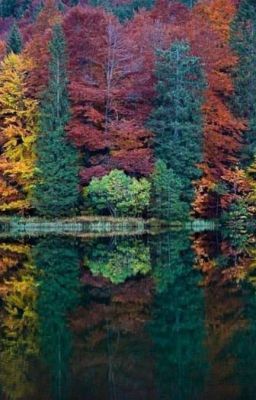 Просто Разные Истории.