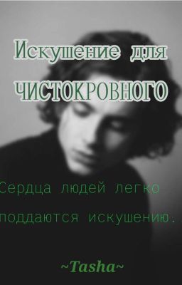 Искушение для чистокровного