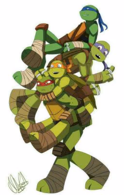 🐢☆реакция черепашки ниндзя☆🐢
