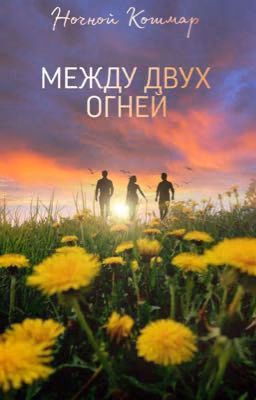 Между двух огней