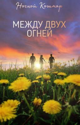 Между двух огней
