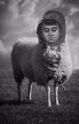 реакция Tinny Binny