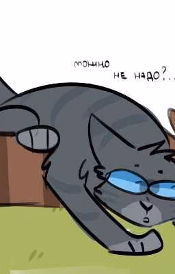 Коты Воители. Разное