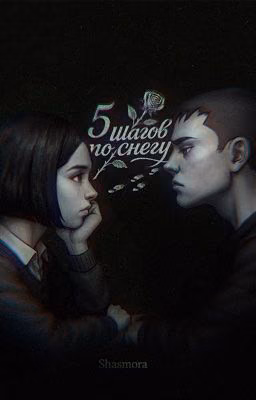 5 шагов по снегу