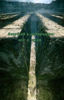 Бегущий в лаберинте: все с нуля