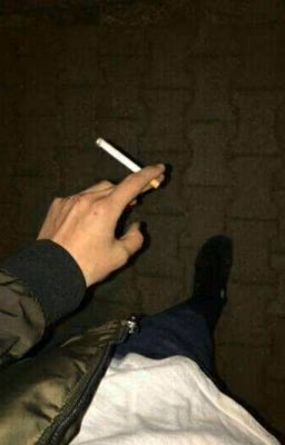 цитаты