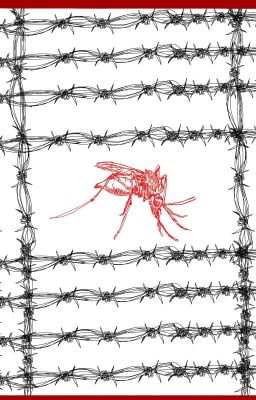 Абдикация От "добра И Зла" 