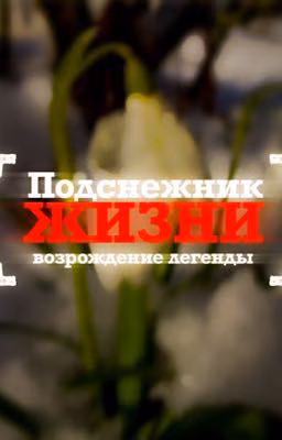 Подснежник жизни: возрождение легенды