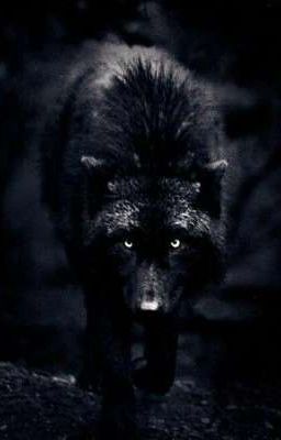 "Плохая девочка альфы 2: Я найду тебя😈❤"