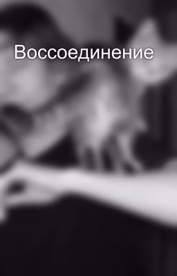 Воссоединение