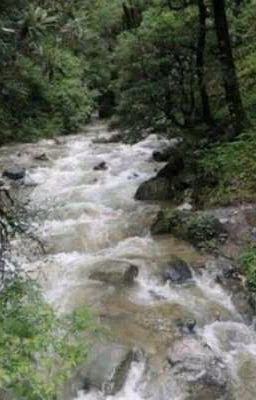 АМУЛЕТ 