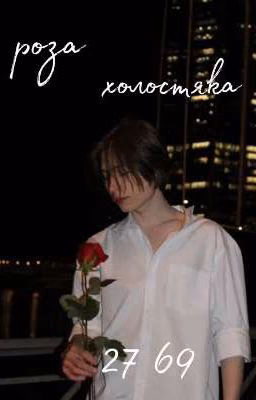 роза холостяка🌹|| 2769