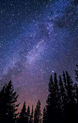 Новая жизнь 2 "Countryhumans"