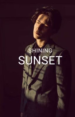 Shining sunset⭐️