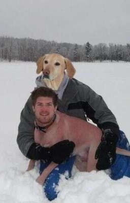 страсть скейтер боев эмо киллеров
