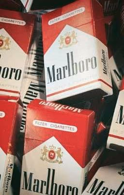 Marlboro для любви (кашенцовы)
