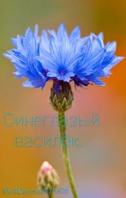 Синеглазый василёк.