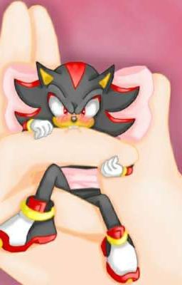 Мой Маленьки Ёжик