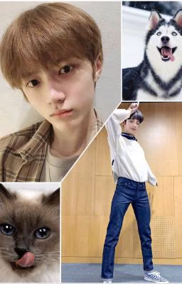 Cat&Dog  | TXT