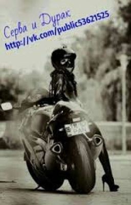 Стерва и Дурак