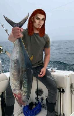 мини эпизоды по пути валькирии