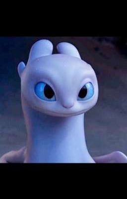 the life of Light Fury