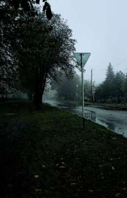 Орден защиты. Начало.