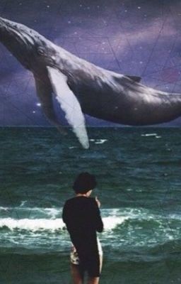 Внутри наши Киты.