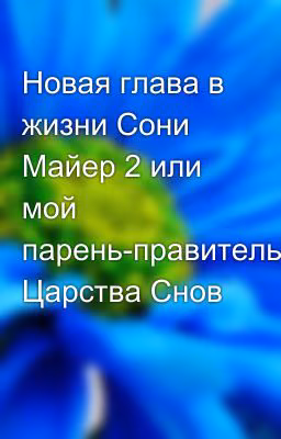 Новая глава в жизни Сони Майер 2 или мой парень-правитель Царства Снов