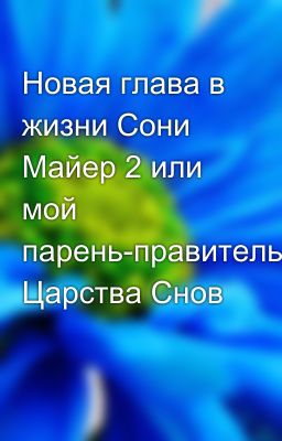 Новая глава в жизни Сони Майер 2 или мой парень-правитель Царства Снов