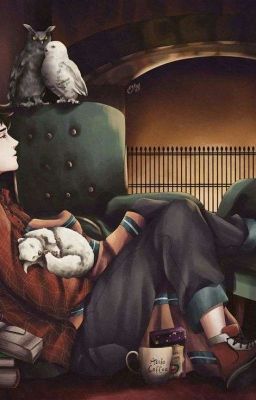 Наконец-то ты понял Драко {~ЗАВЕРШЕН~}