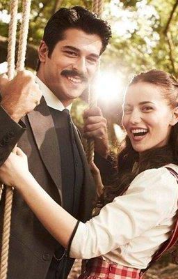 Kоролек птичка певчая