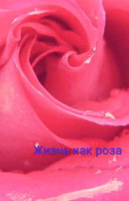 Жизнь как роза
