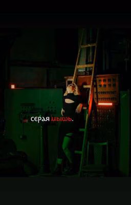 серая мышь.