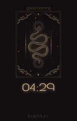 04:29