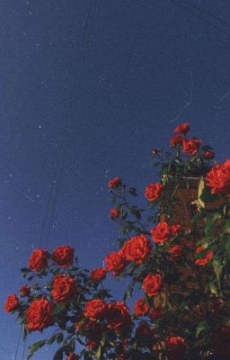 Когда твоя мама - ТОКСИК