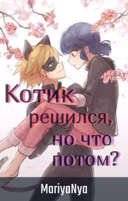 Котик решился, но что потом?