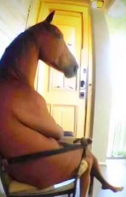 искра между реданом и офником💗