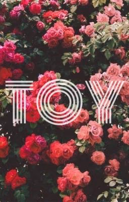 TOY|Фанфик