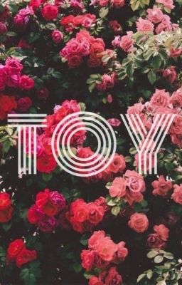 TOY|Фанфик
