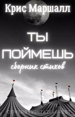 Ты поймёшь. Стихи.