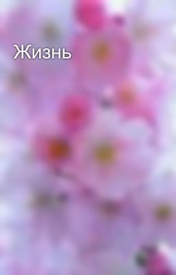 Жизнь